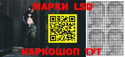 индика Беслан