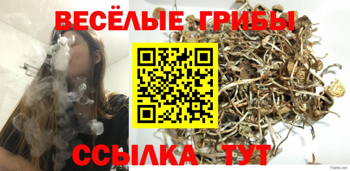 Псилоцибиновые грибы прущие грибы  Вход с VPN  Губкинский 