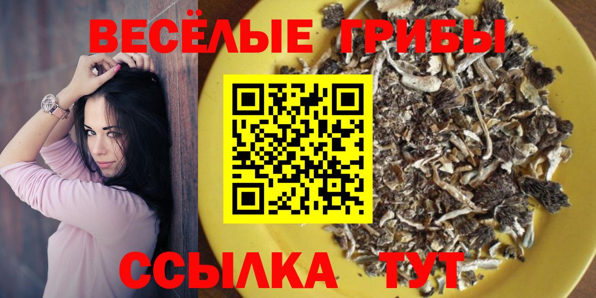 Галлюциногенные грибы Magic Shrooms  наркотики  Губкинский  Галлюциногенные грибы Cubensis 
