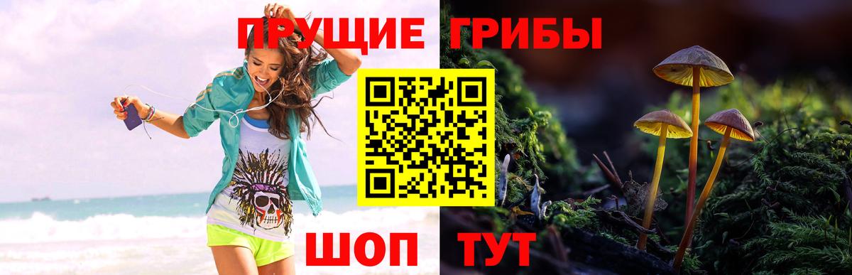 Псилоцибиновые грибы ЛСД Губкинский