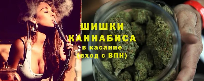 MEGA ссылка  Губкинский  Канабис сатива  закладка 